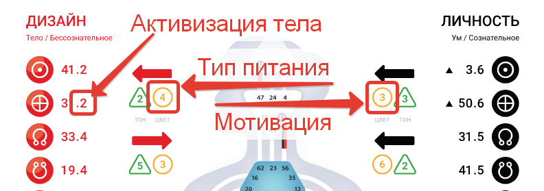 Дизайн Человека. phs расшифровка